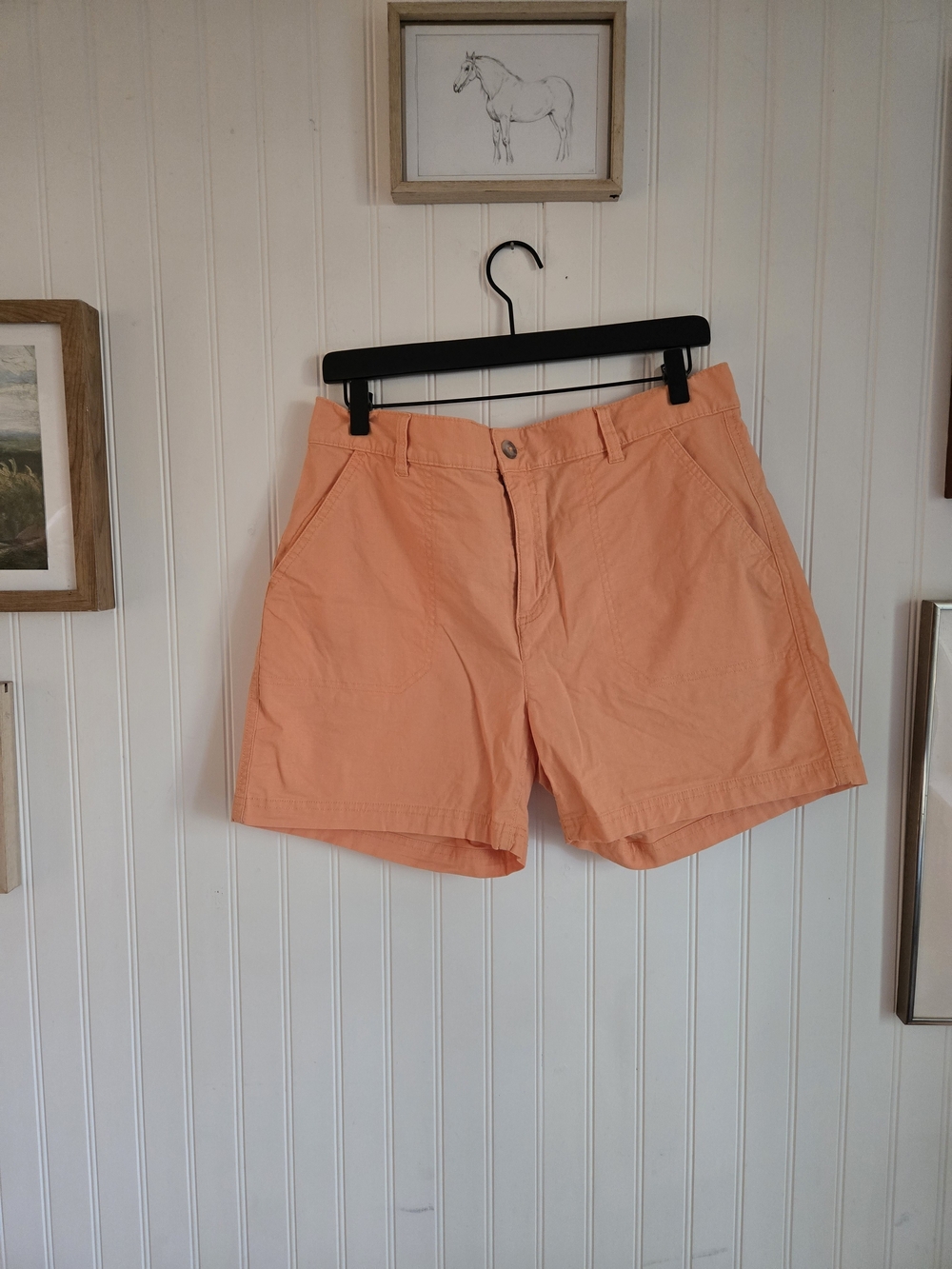 Eddie Bauer Classic Cotton Peach Gorpcore Hiking Athletic Outdoors Shorts